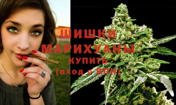 тгк Беломорск