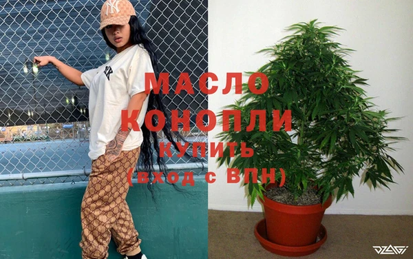 индика Кинешма
