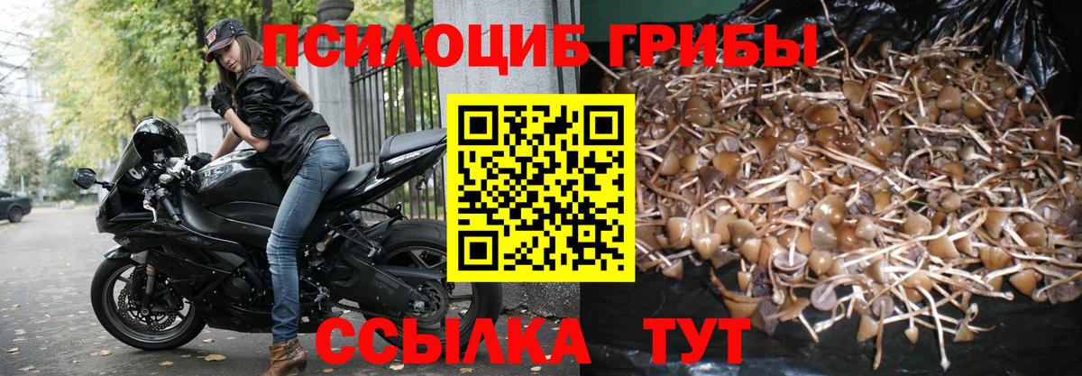 Псилоцибиновые грибы Magic Shrooms Острогожск